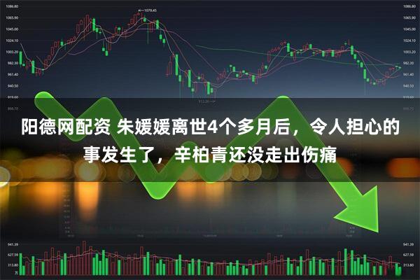 阳德网配资 朱媛媛离世4个多月后，令人担心的事发生了，辛柏青还没走出伤痛