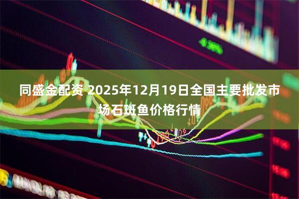 同盛金配资 2025年12月19日全国主要批发市场石斑鱼价格行情
